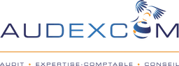 Logo de Audexcom, client de Laurent Serre Développement